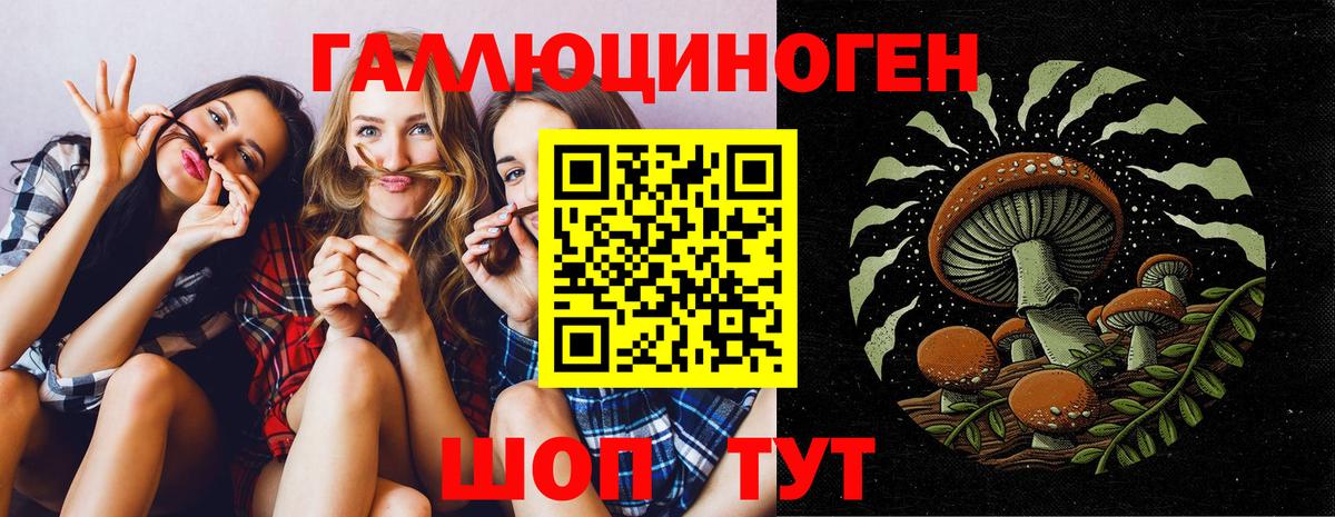 Псилоцибиновые грибы мицелий  Вход с VPN  Севастополь  Галлюциногенные грибы мицелий 