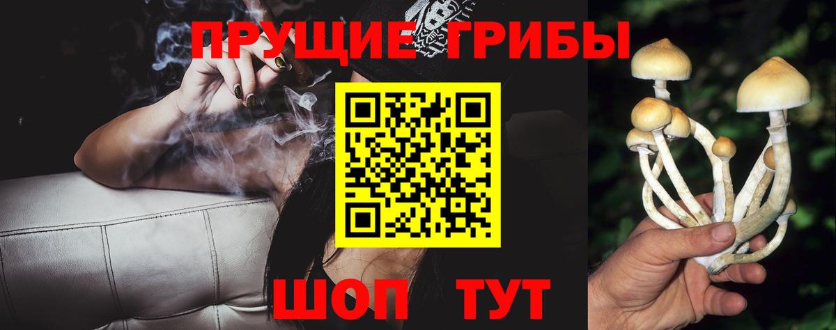 Псилоцибиновые грибы прущие грибы Севастополь