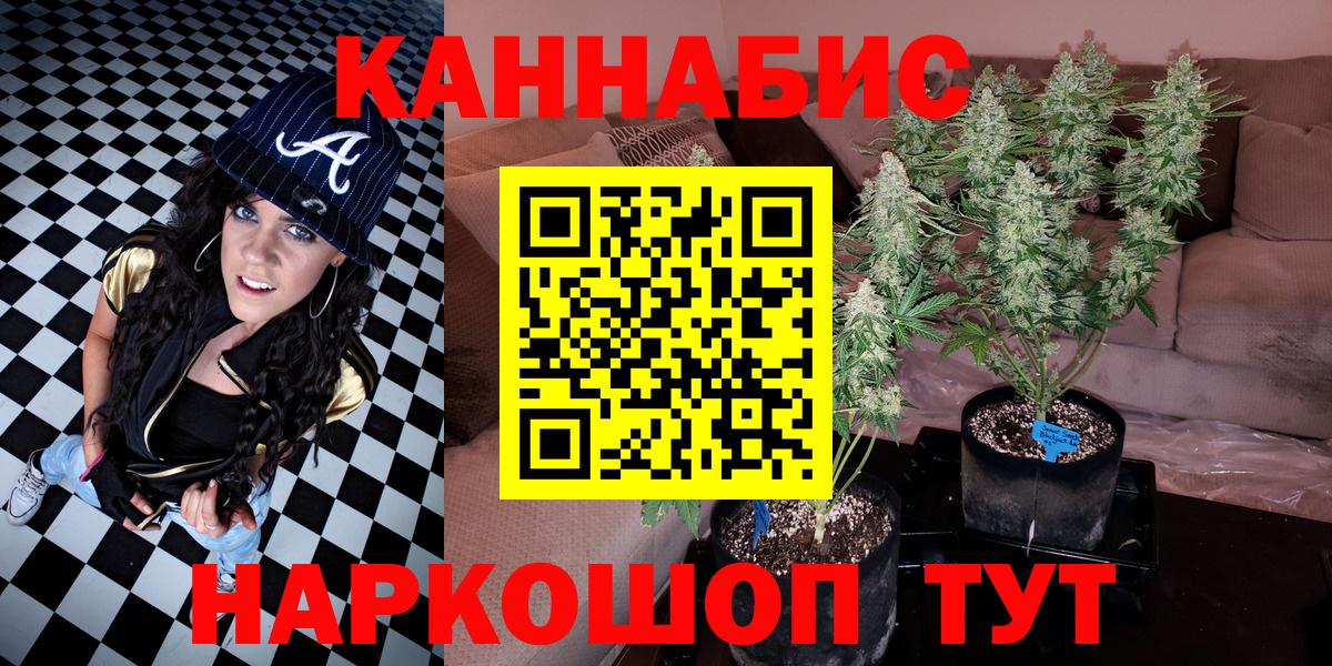 Шишки марихуана сатива Севастополь